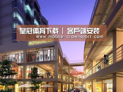案例展示一(图1)