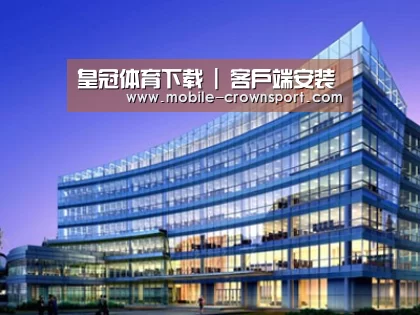 案例展示五