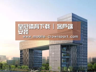 案例展示四