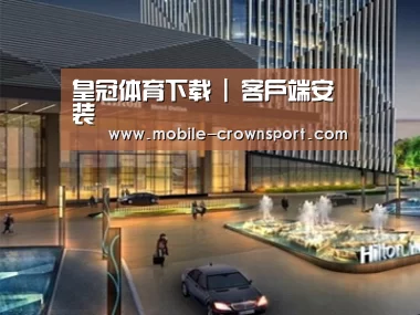 案例展示二