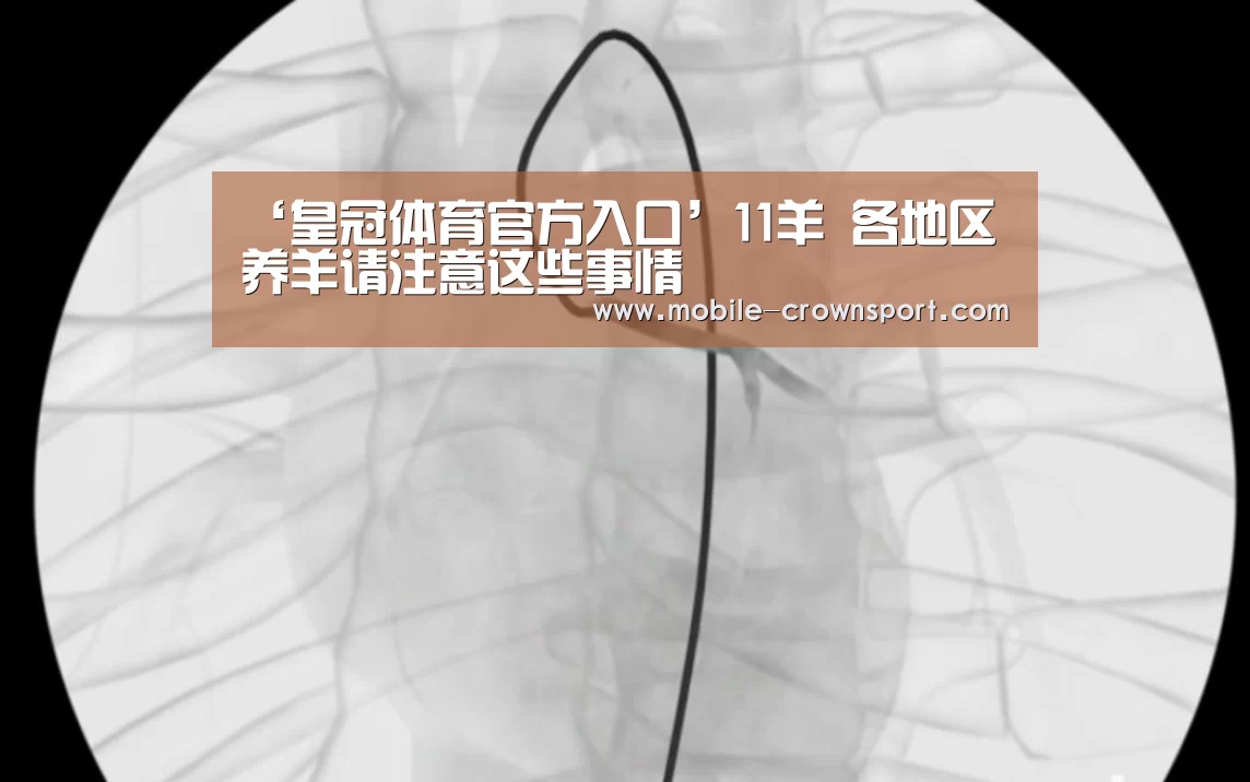 皇冠体育app