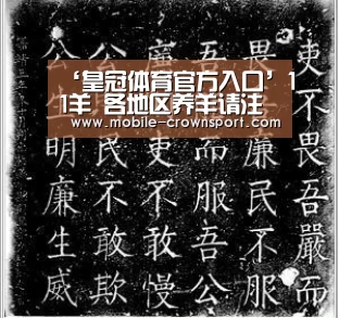 皇冠体育官方入口