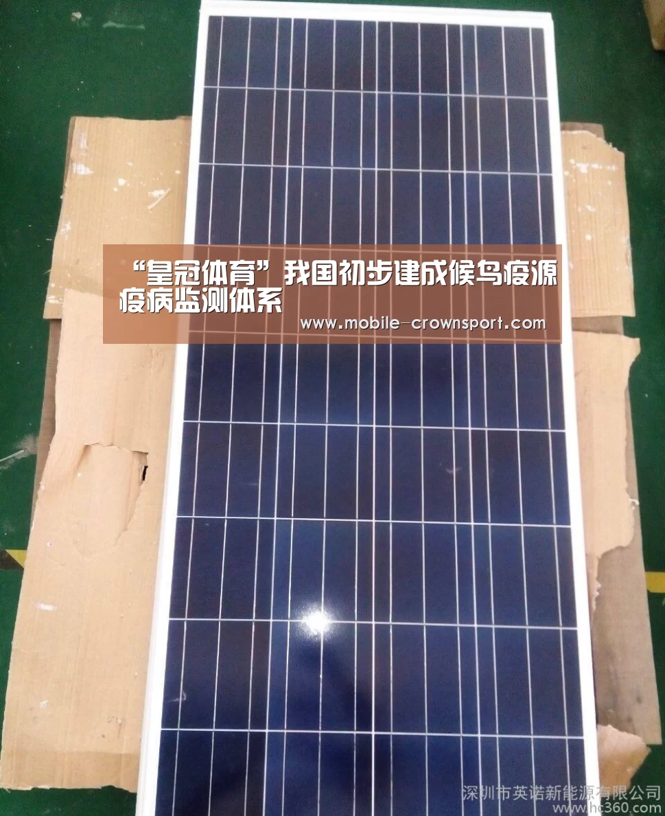 皇冠体育app