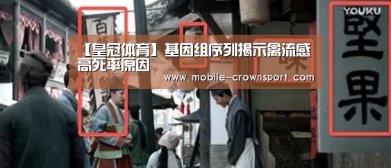 皇冠体育官方入口