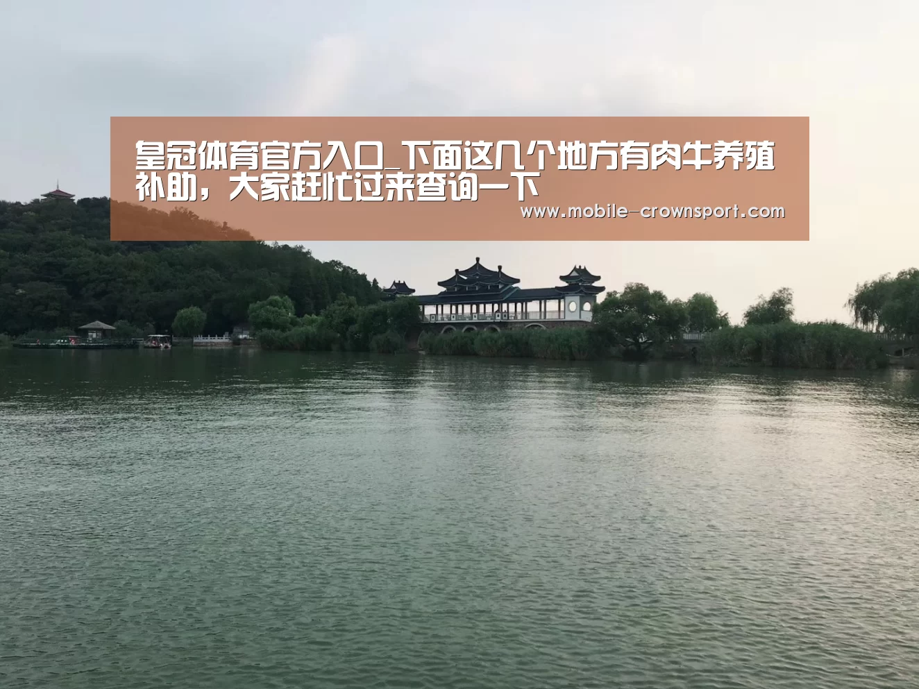 皇冠体育app